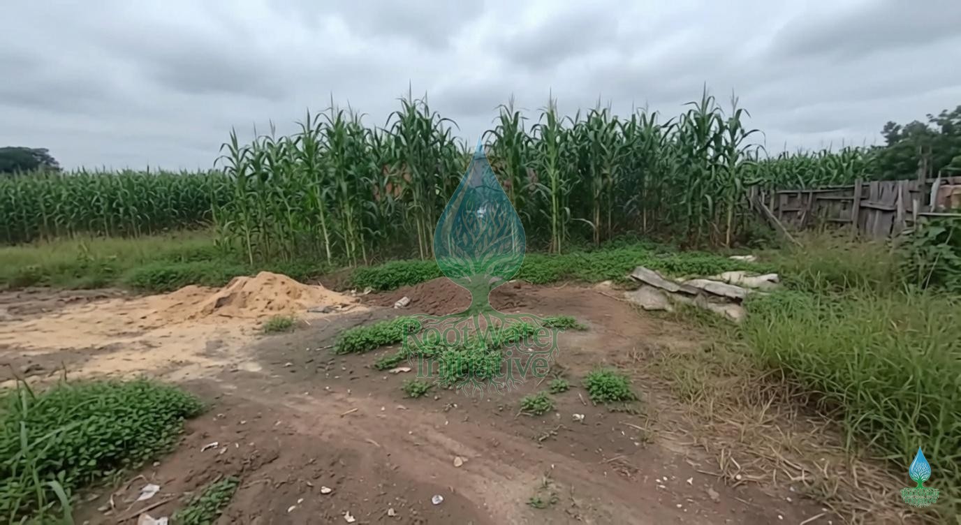 Barké Daga Avant